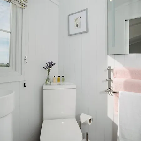 Shepherds Hut At Chenhall Farm Apartamento *